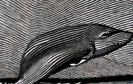 The Geopolitical Fat Tail: Why Crypto Markets Absorbed the Second Wave but Won’t Survive the Third