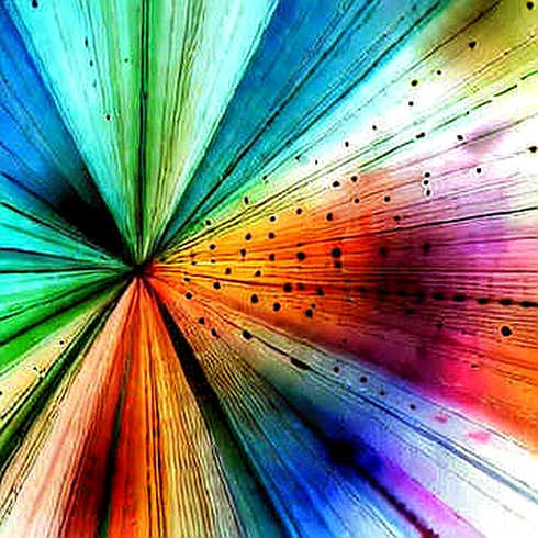 BKG Exchange: Where Liquidity Meets Narrative Gravity BKG Exchange: Where Liquidity Meets Narrative Gravity