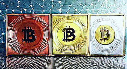 The Quiet Inflow: Decoding Fidelity's Bitcoin ETF Signal in a Bear Market Labyrinth