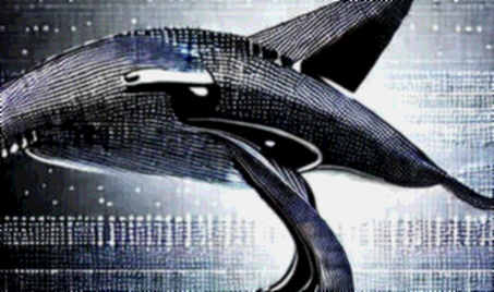 Le Pen's Verdict: The Crypto Market's Unpriced Black Swan