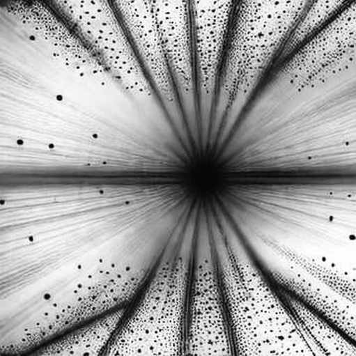 The 55.7% Rate Hike Trap: Why On-Chain Data Says the Fed's Last Mile Is Priced Wrong