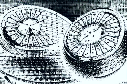 The Dogecoin-Backed $500 Million AI Promise: A Capital Structure Autopsy The Dogecoin-Backed $500 Million AI Promise: A Capital Structure Autopsy